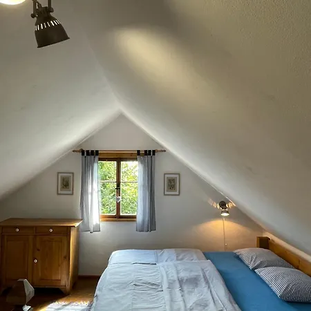 U Růži Appartamento Sloup (Liberec)