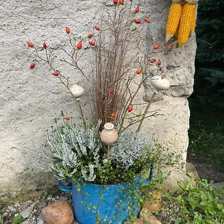 U Růži